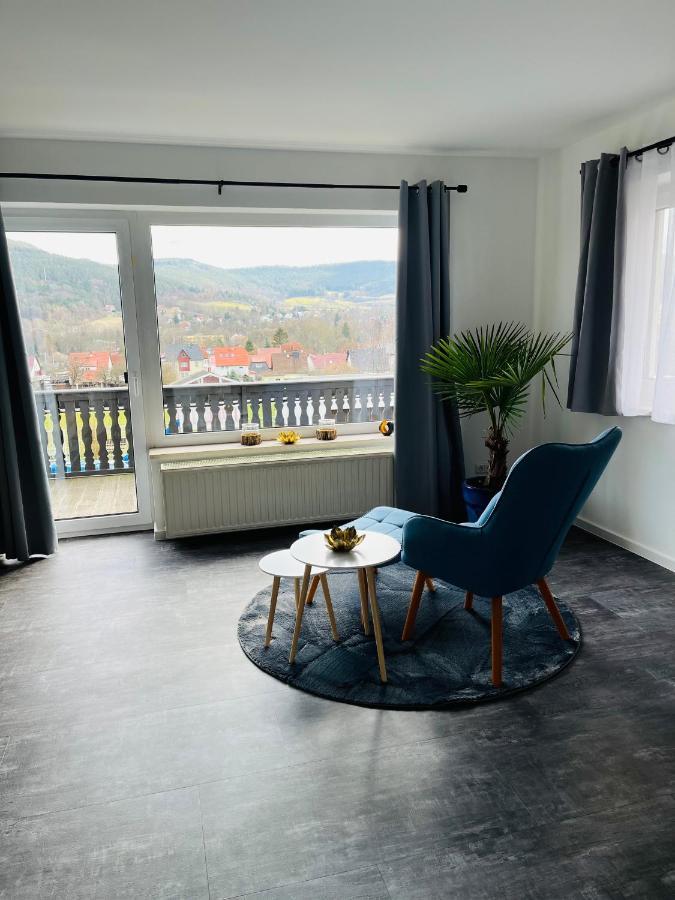 Ferienwohnung Am Tor Zum Thueringer Wald 2 Plaue  外观 照片